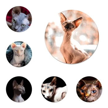 Kanadalı Tüysüz Beerus kedi sphynx kedi Broş Pin Cosplay Rozeti giysi aksesuarları Sırt Çantası Dekorasyon Hediye 58mm