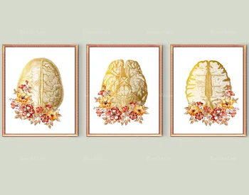Nöroloji Sanat Altın Anatomik Beyin ve Çiçekler Poster Detaylı Beyin Anatomisi Sanat Tıbbi Dekor Nörolog Hediye Psikolog Gi